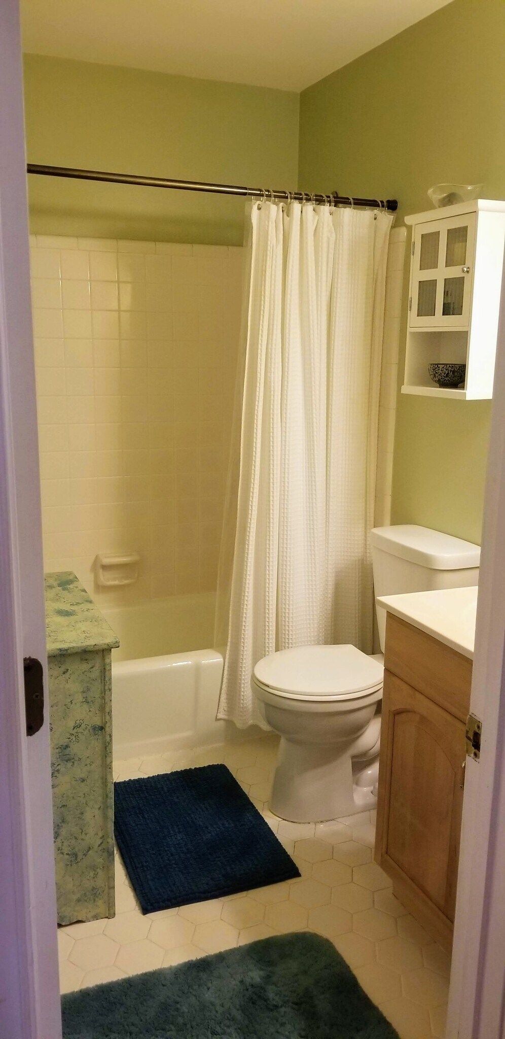 Downstairs Bathroom - 7 Steeple Chase Ct
