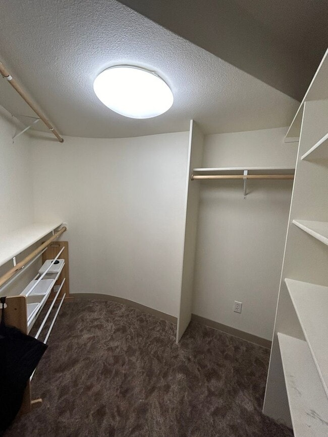 Building Photo - Spacious Daylight Apartment in Hamilton