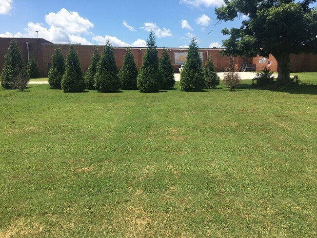 Building Photo - MOVE-IN READY!
