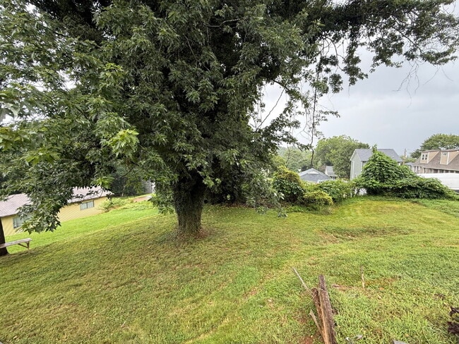 Building Photo - Very Large 3 or 4 bedroom home with nice y...