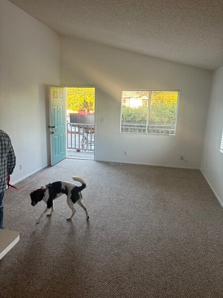 Building Photo - 409 El Sueno Rd