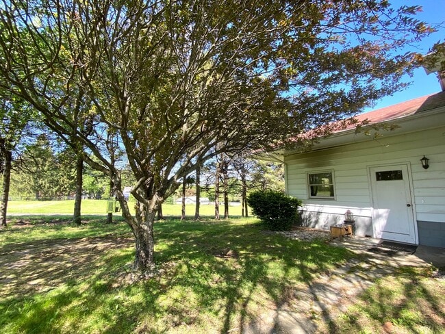 Building Photo - Bright & Breezy 3BR Ranch Ulster Park