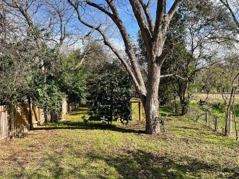 Back yard - 810 Aganier Ave