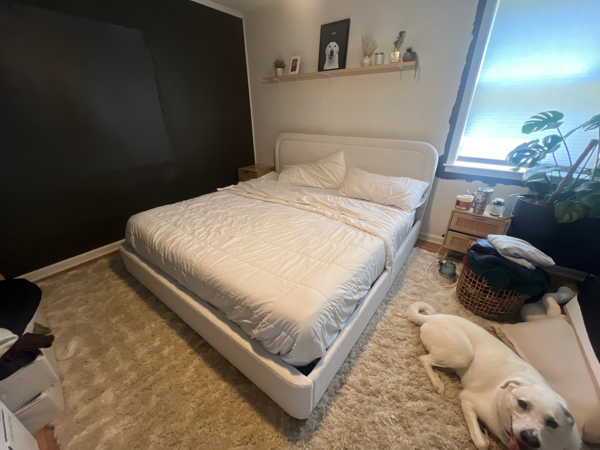 Building Photo - 3720 Norma Dr