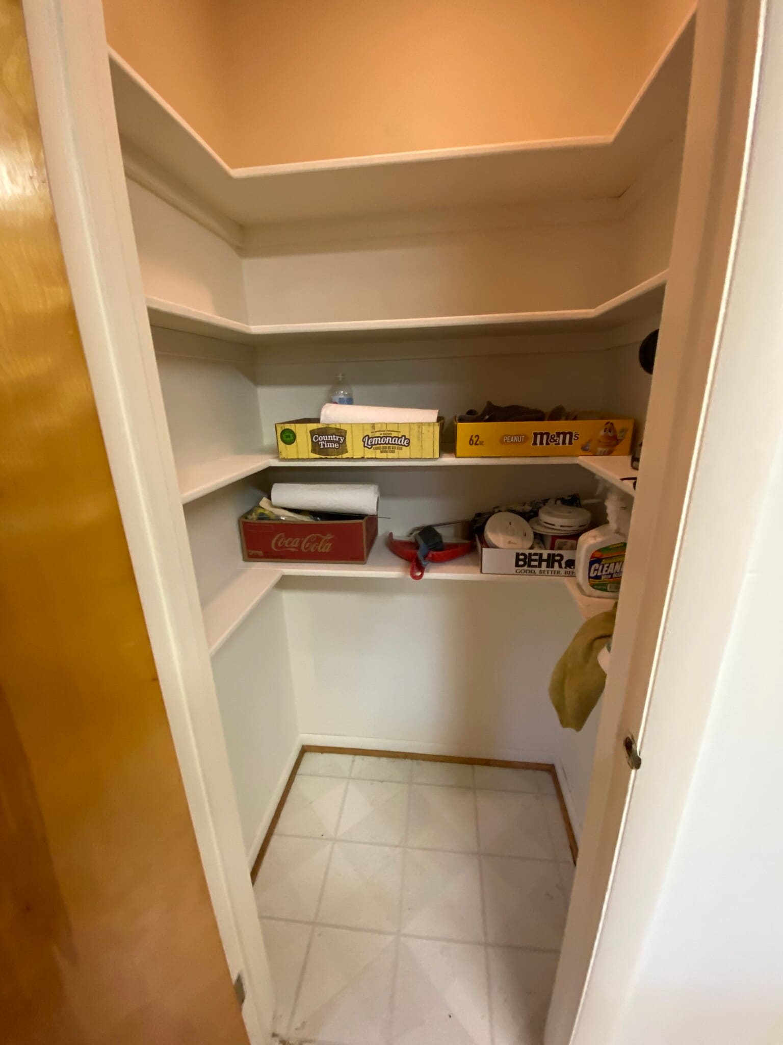 large pantry - 923 St Clair St