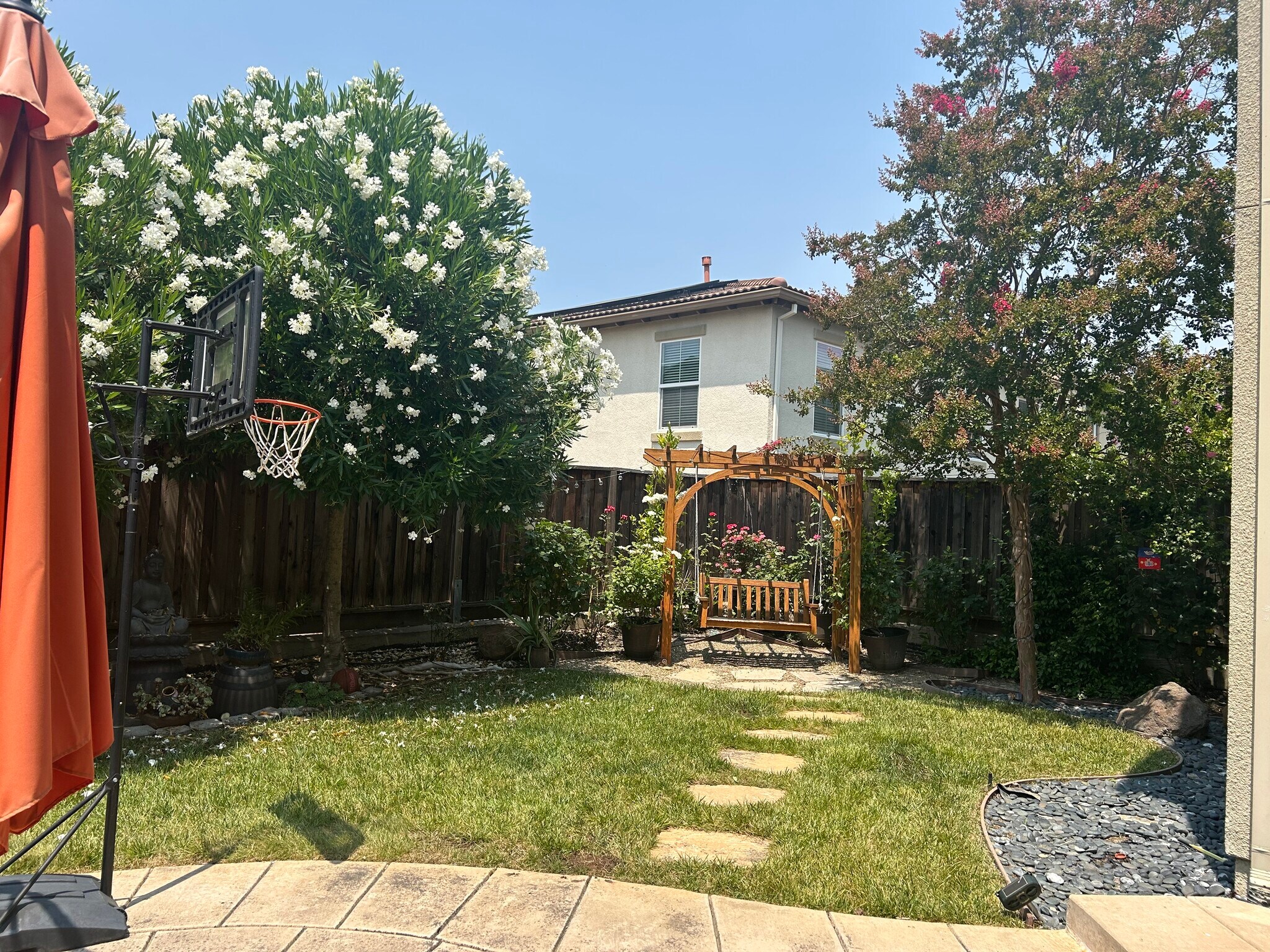 Backyard - 2553 McLaren Ln
