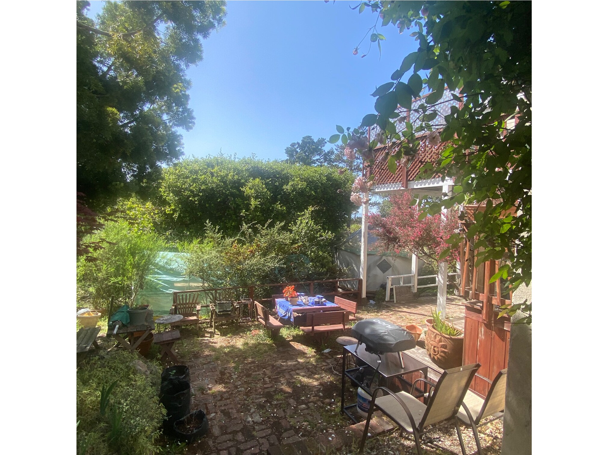 Yard side view - 2317 Carquinez Ave