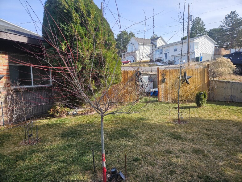 Building Photo - 1650 Jean St