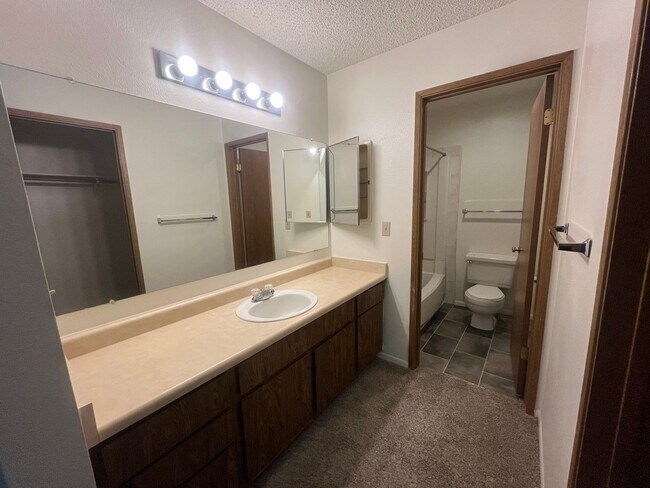 Building Photo - 2 Bedroom and 2 Bathroom South Reno