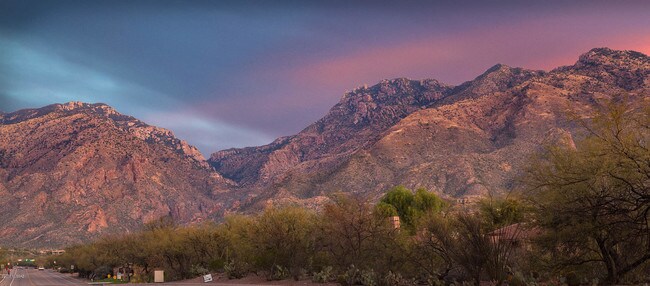 Building Photo - 5751 N Kolb Rd