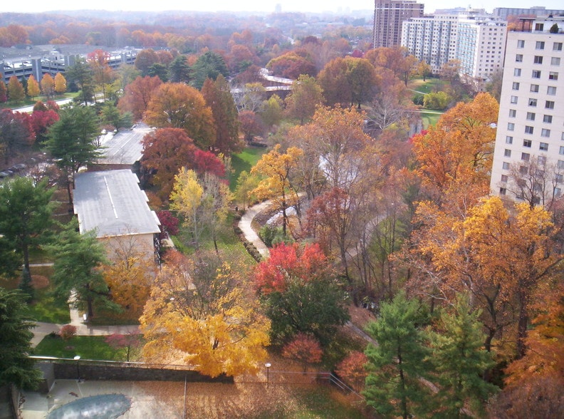 Park view from balcony - 10500 Rockville Pike