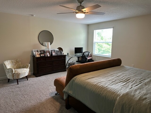 Building Photo - 521 Brunswick Dr