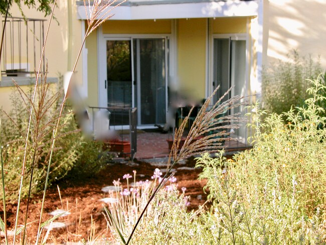 Building Photo - 213 Lower Via Casitas