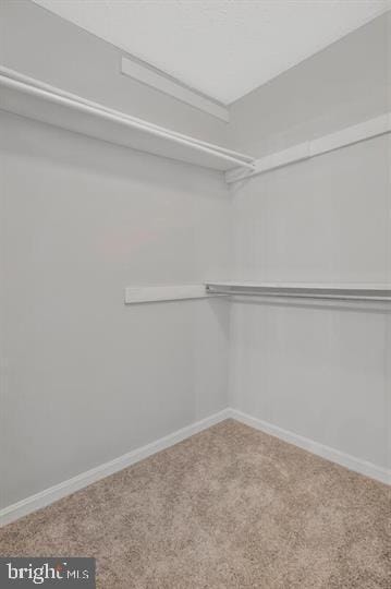 Building Photo - 4325 Lord Fairfax Ct