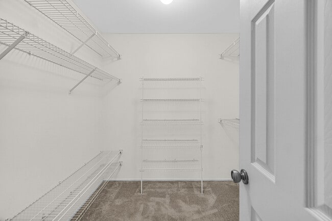 Building Photo - 2403 Mallow Ct