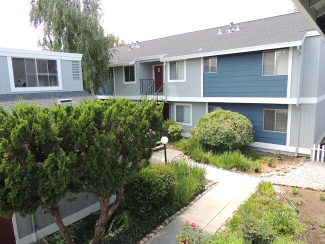 Walklway 2 - 2355 Fairfield Ave
