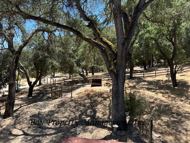 Building Photo - Unique Carmel Valley Horse Property!