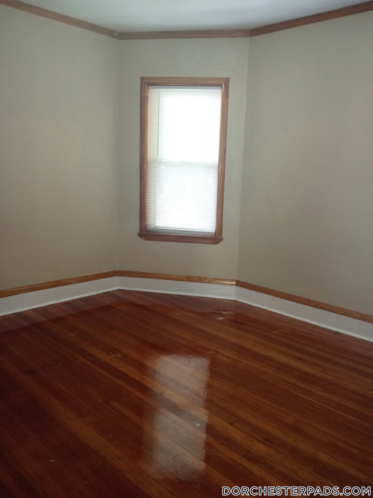 Building Photo - 53 Woolson St