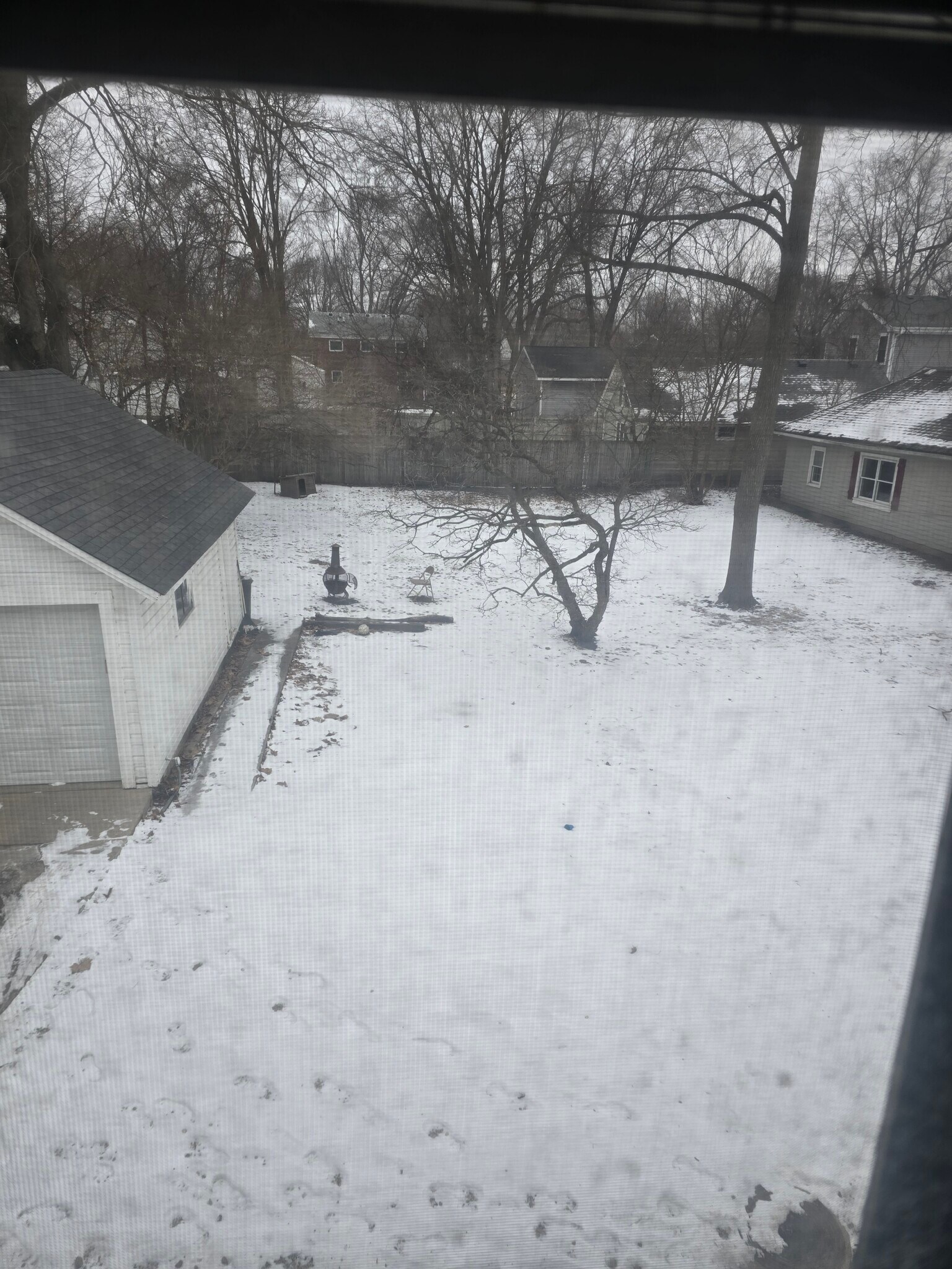 Back Yard - 515 Houston St