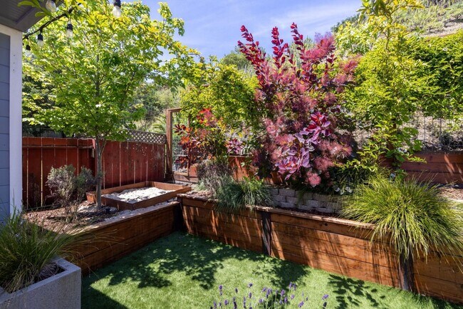 Building Photo - Beautiful Duplex In Highly Desirable San Rafael!