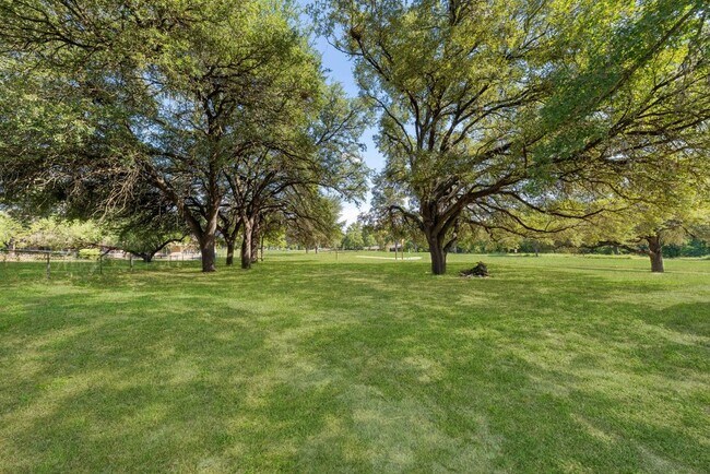 Building Photo - Spacious 4-Bedroom Retreat with Fireplace & Island Kitchen in New Braunfels