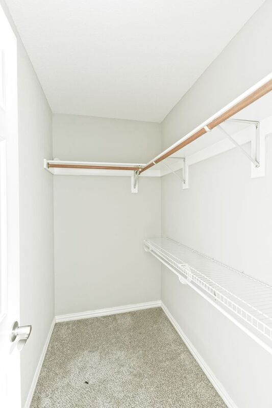 Building Photo - 3643 Copper Stone Dr