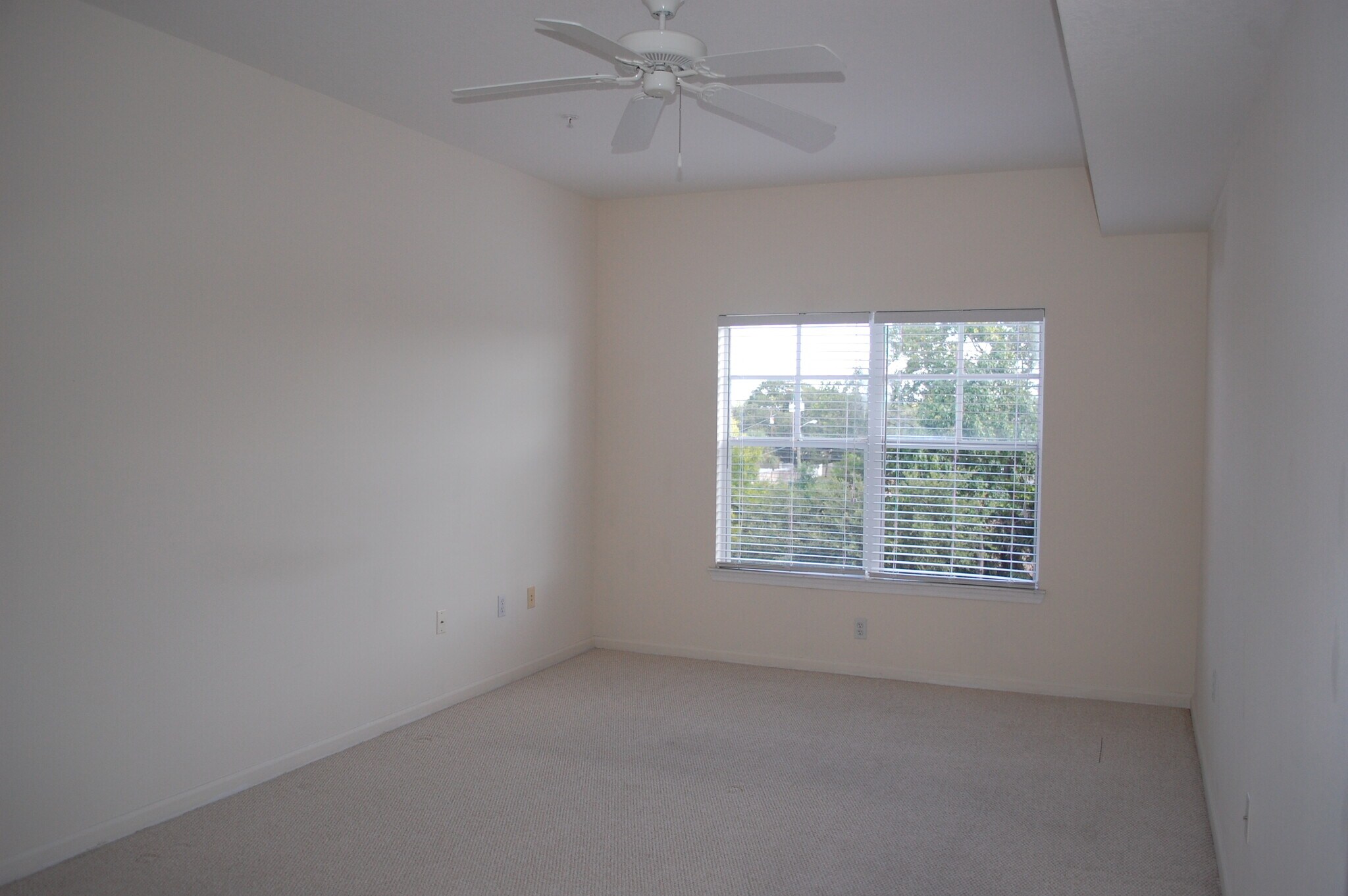 Bedroom - 4207 S Dale Mabry Hwy