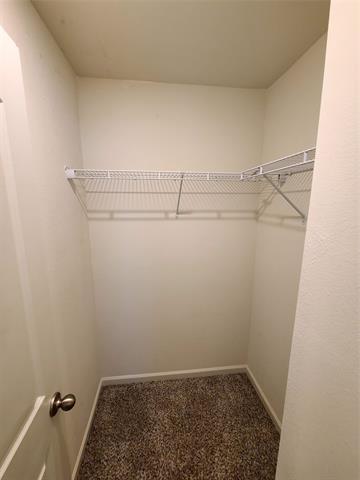 Building Photo - 104 Lady Bird Ct