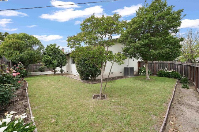 Building Photo - 501 Amherst Ct
