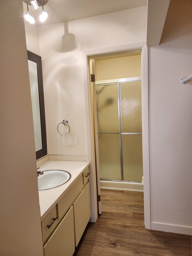 Master Bathroom - 1818 Indian Meadows Ln