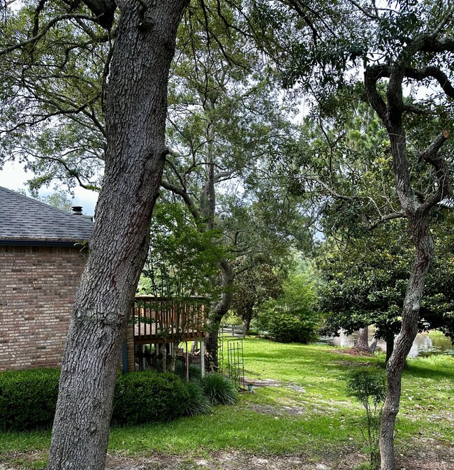 Building Photo - 109 Dominica Way