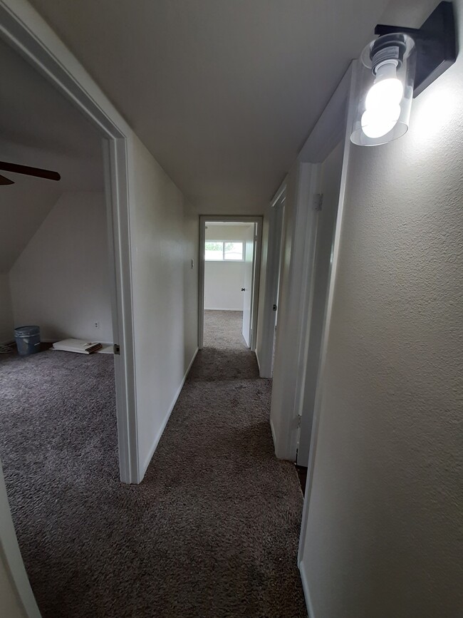 Building Photo - 4318 Jenny Ln