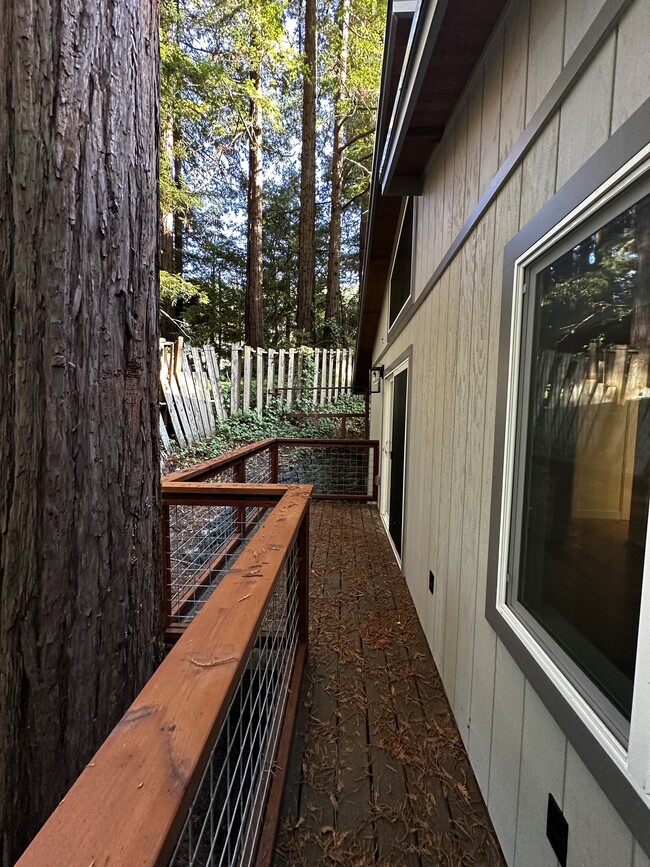 Building Photo - 206 Sequoia Rd