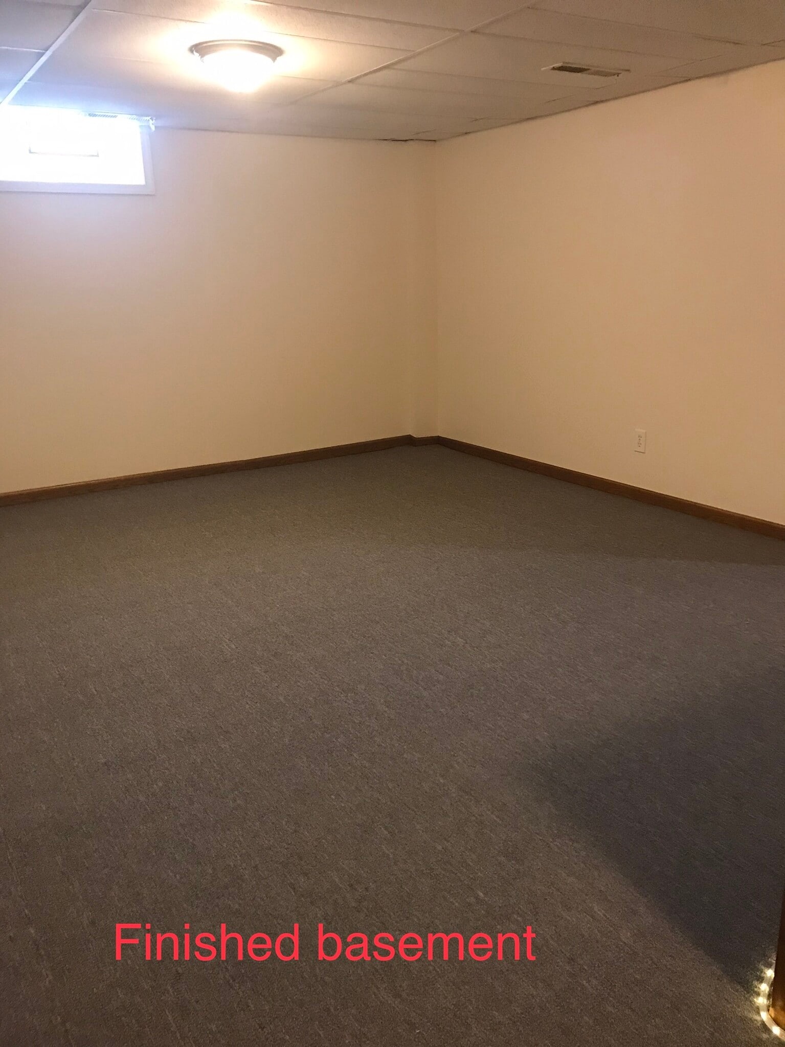 Finished bsmt/family room - 917 Lattavo St NE