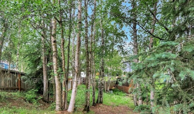 Building Photo - 4202 Pinnacle Cir