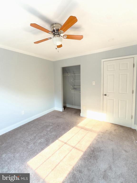 Building Photo - 2419 Ansdel Ct