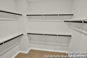 Building Photo - 183 Ringed Plover