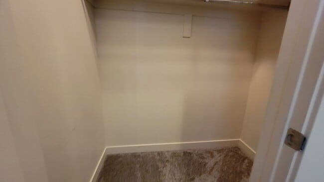 Building Photo - Dashing Edgewater Townhome