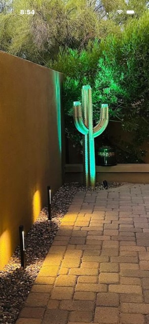 Cactus on patio - 6231 E Mark Way