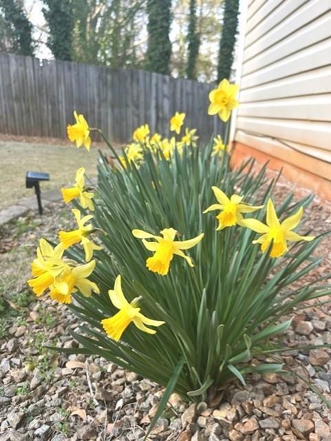 Building Photo - 221 MacKenzie Ct