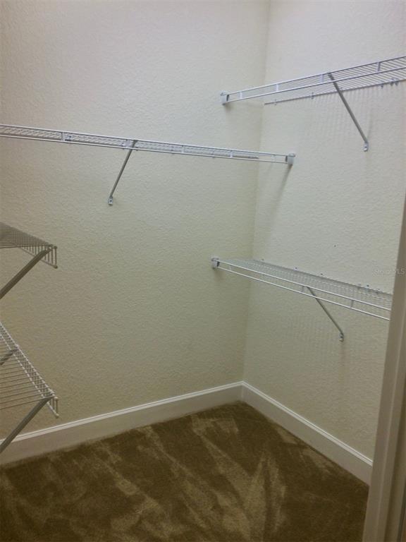 Building Photo - 2120 Painter Ln