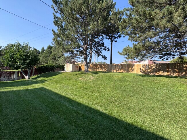 Building Photo - 950 Taney Ln