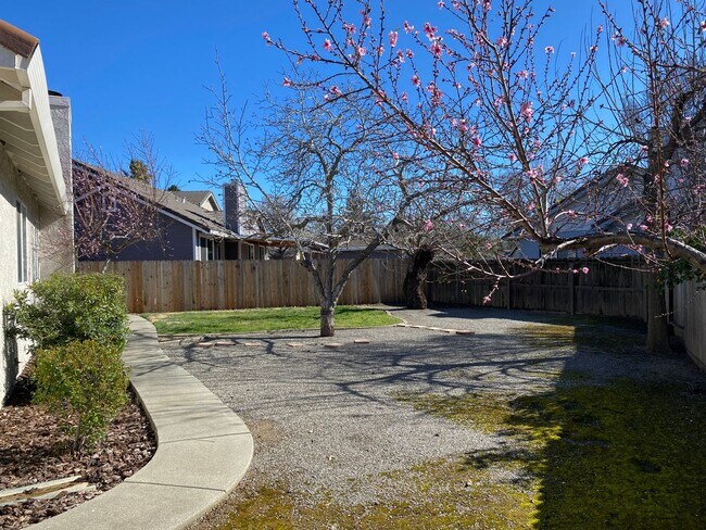 Building Photo - Vacaville 3bed/2bath home! Open floor plan...