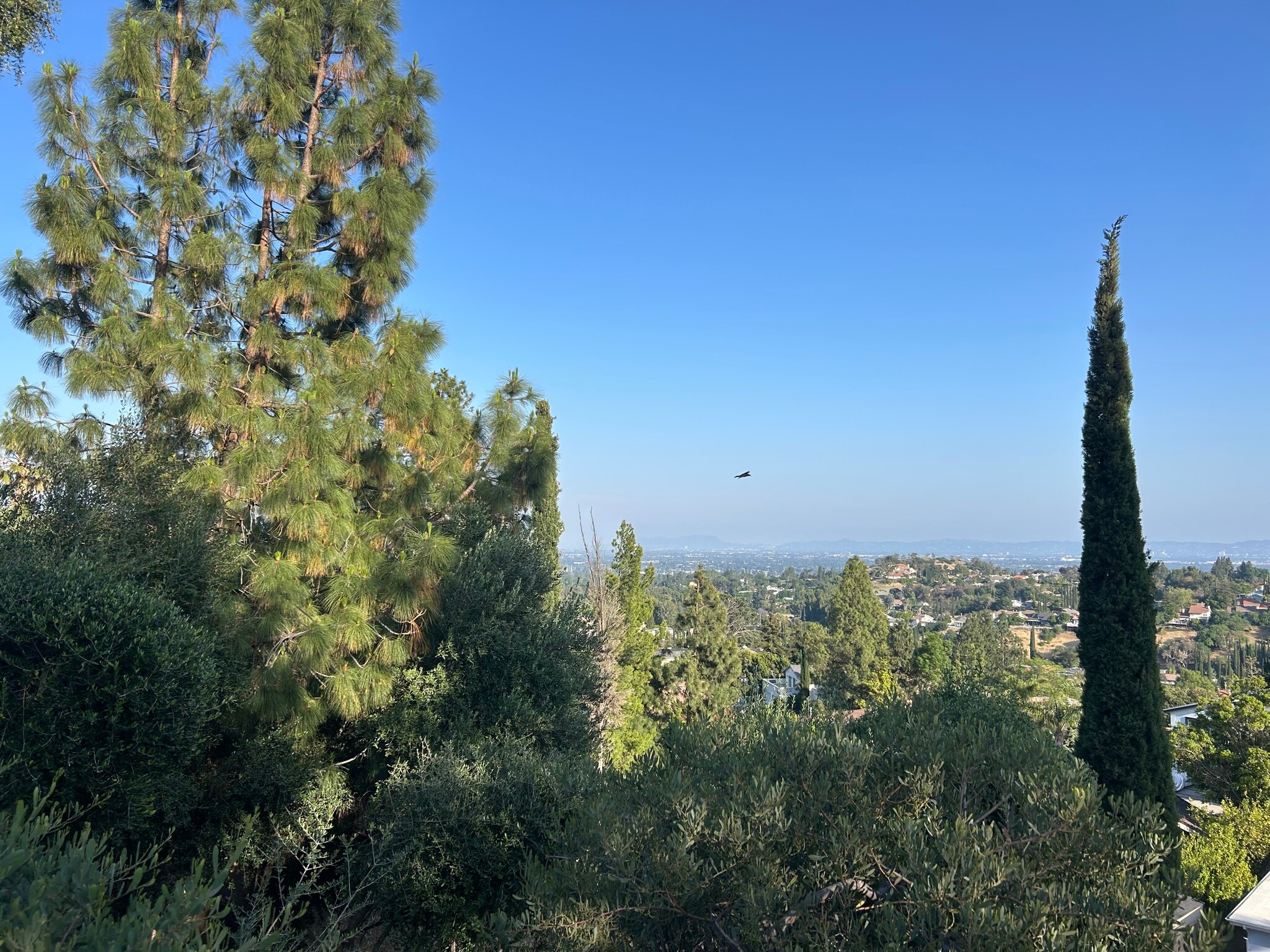View from Home - 12644 Nola Pl