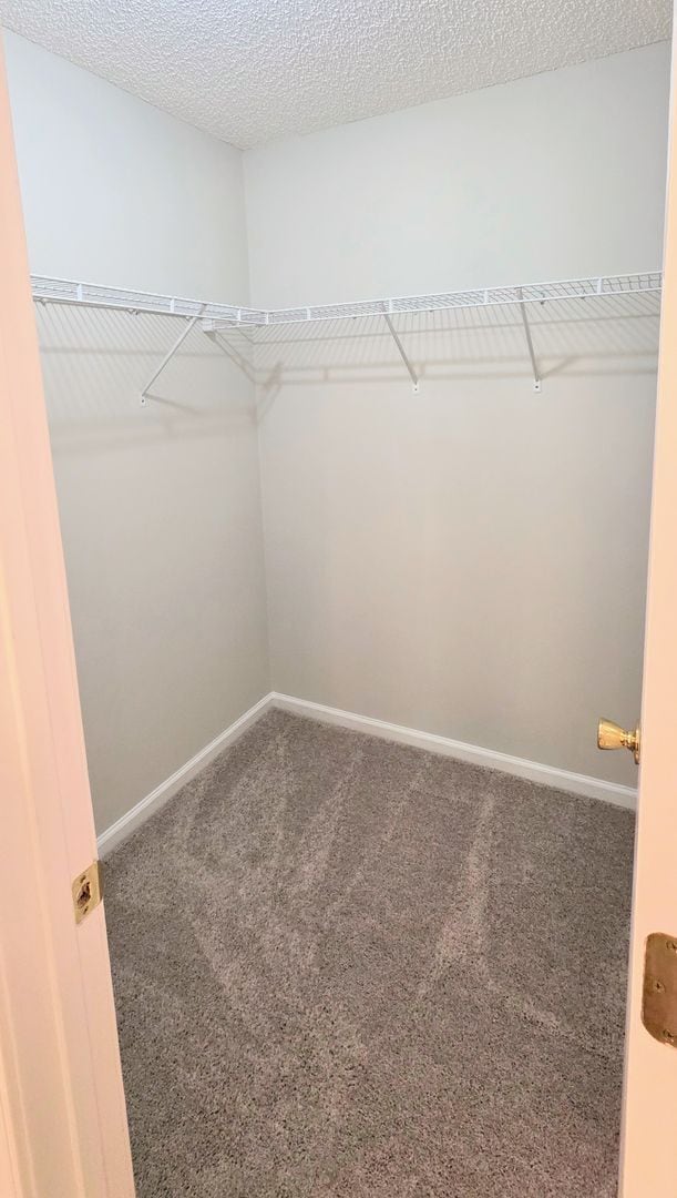 Building Photo - Cosey Cul-De-Sac Living in the Desirable Foxchase Community!