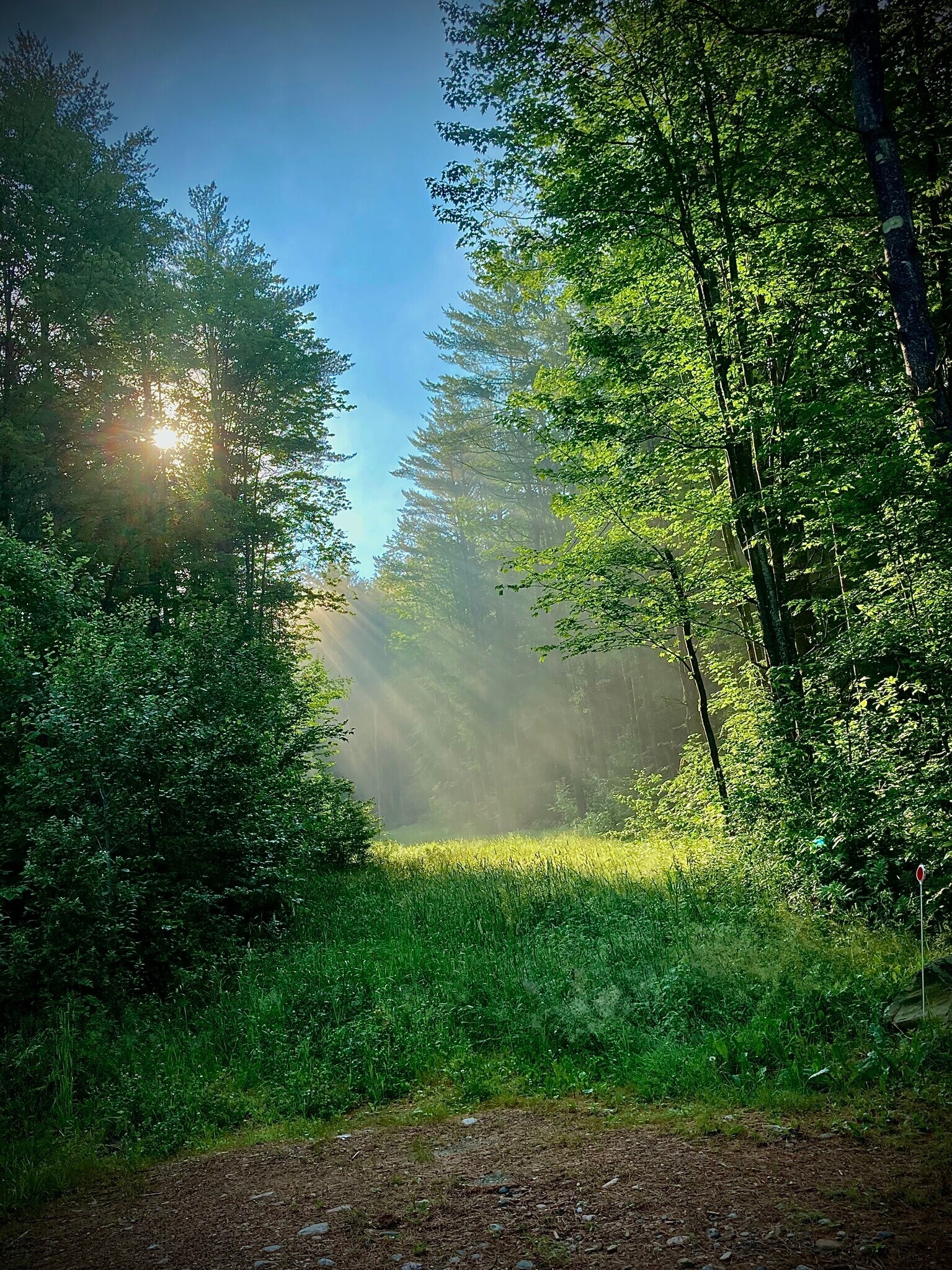 Building Photo - 475 Black Bear Holw