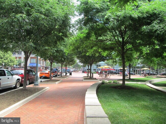 Building Photo - Spacious & Stylish North Shore Cluster Home Near Reston Town Center