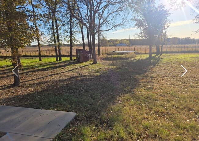 Building Photo - 3/2 Large Yard BROCK ISD / Private country living