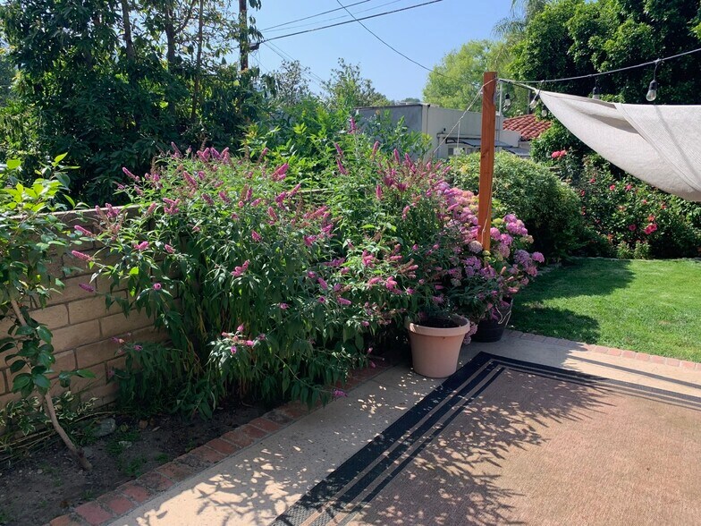 Beautiful garden - 2781 Mira Vista Dr