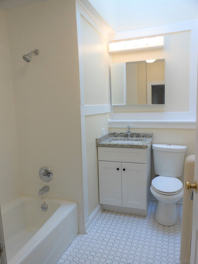 Bright bathroom with skylight - 805-09 W. Elm St.